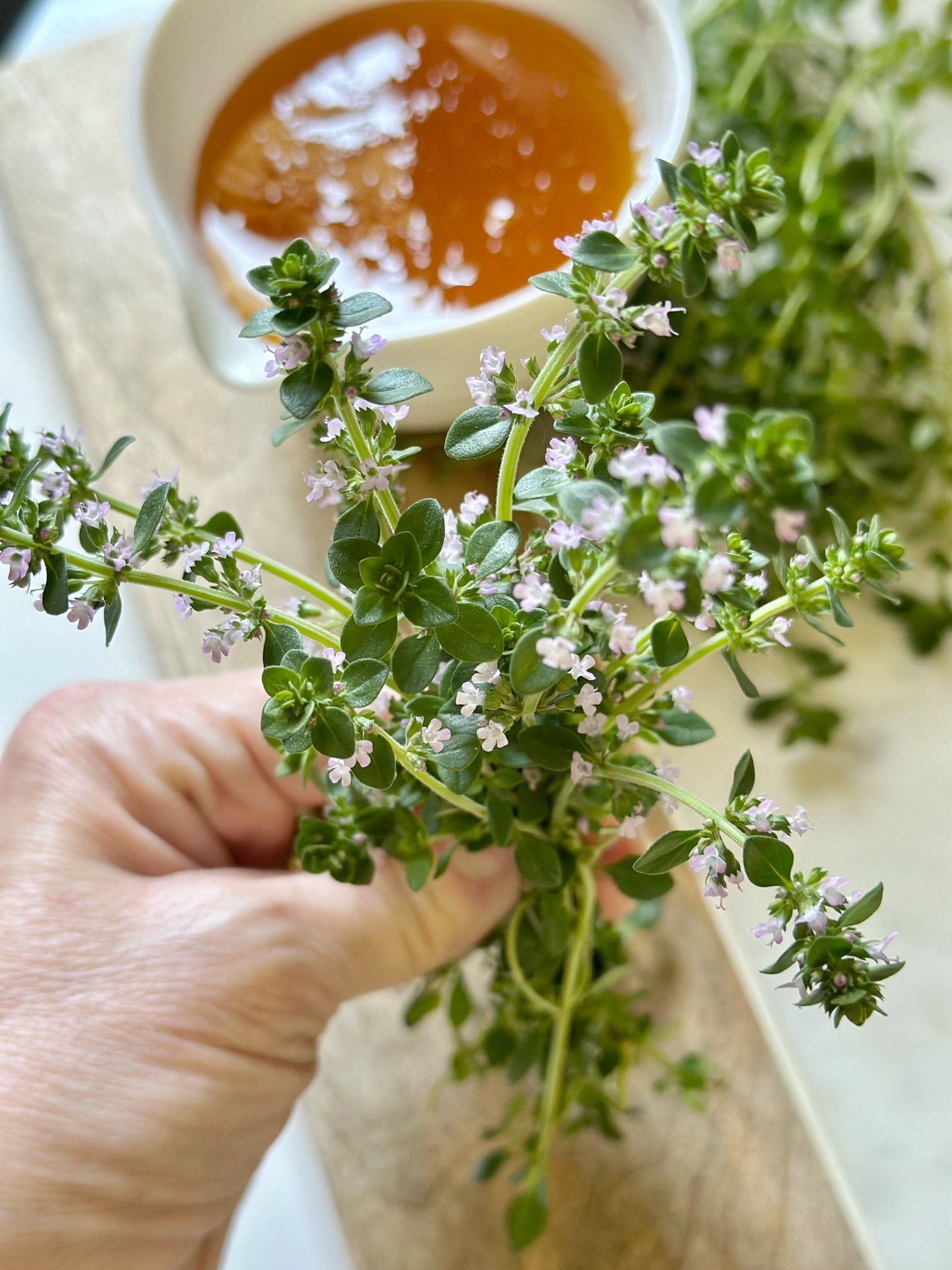 A small bunch of flowering thyme. I like both flowering and green stems for thyme honey.