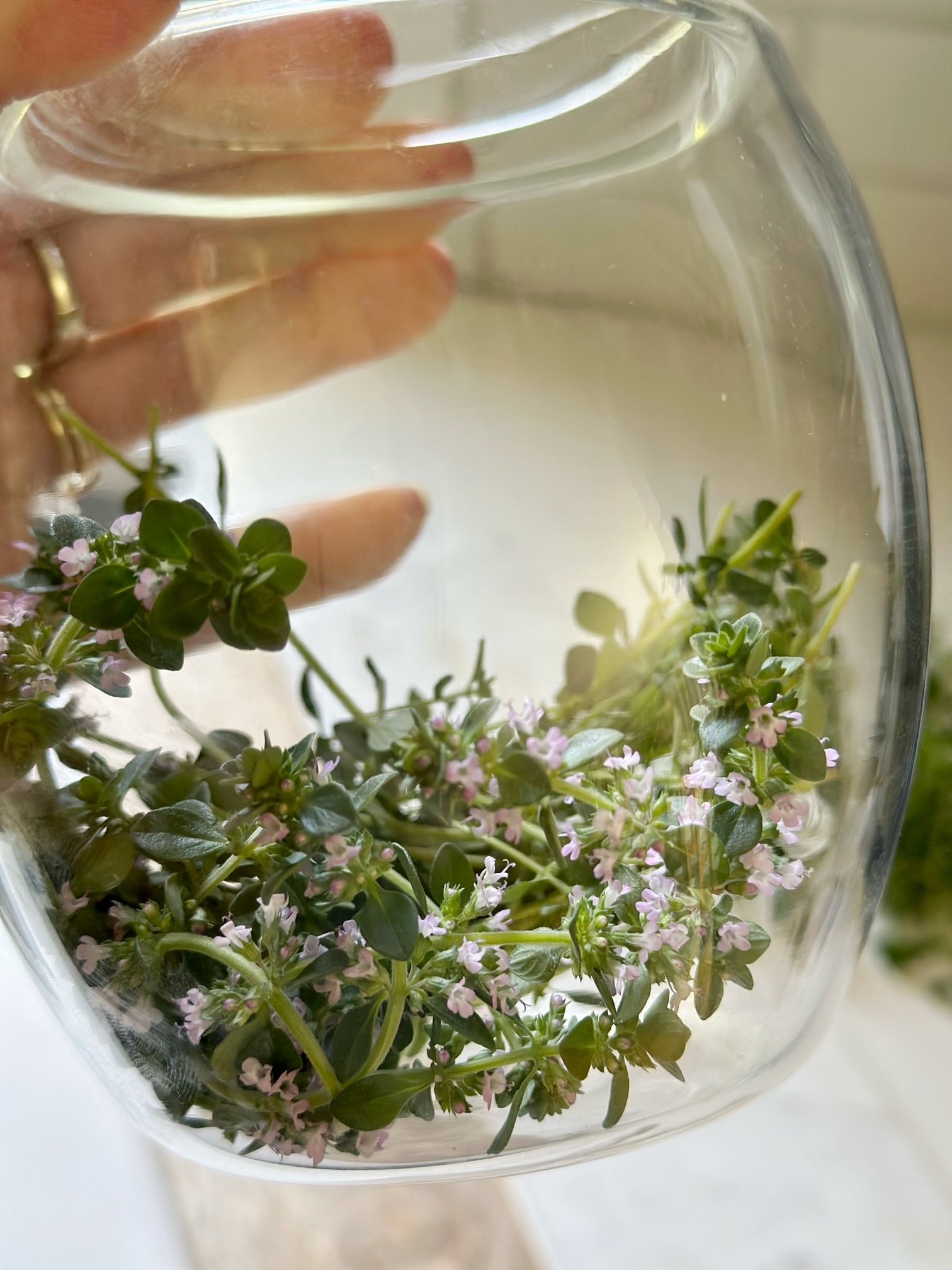 Thyme at the bottom of a jar.