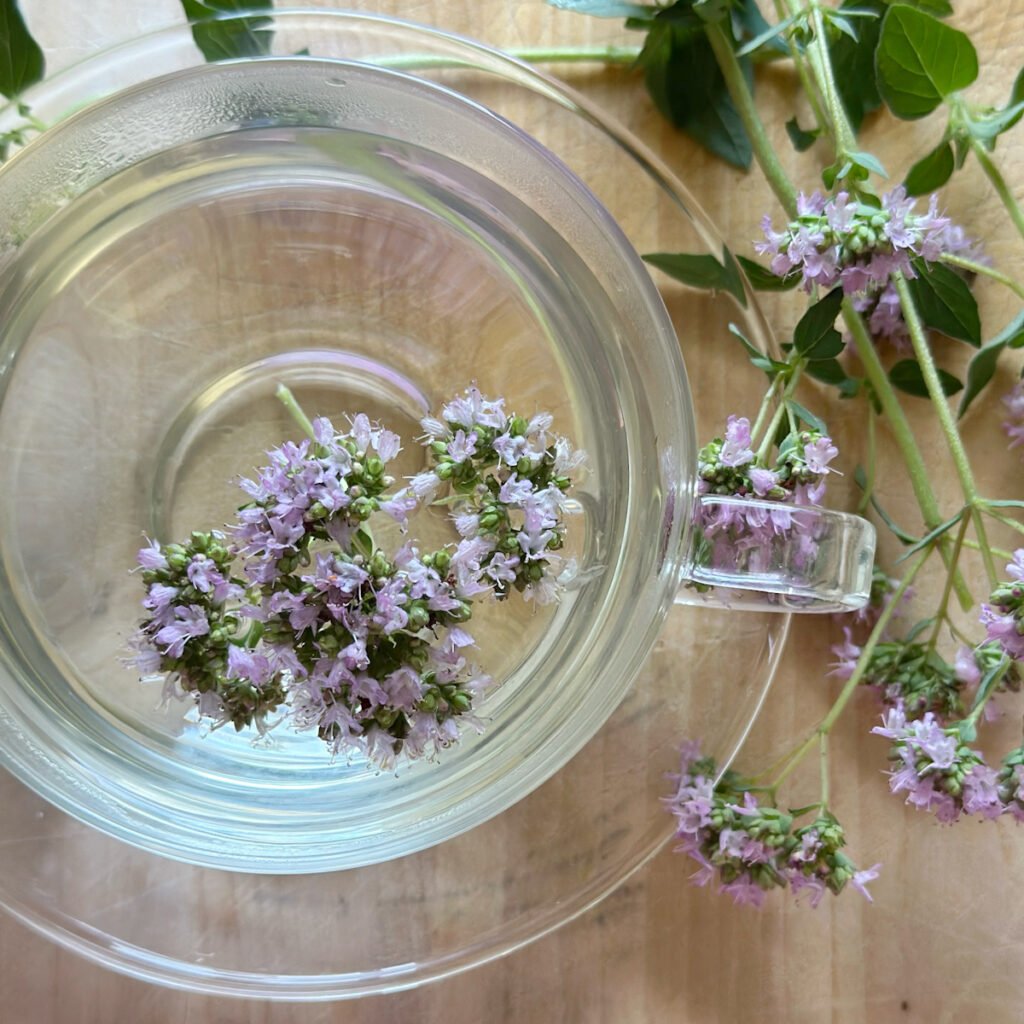 Clear glass tea cup and saucer with spring of flowering pink oregano around it. In the cup is an almost clear tea with flowers floating.